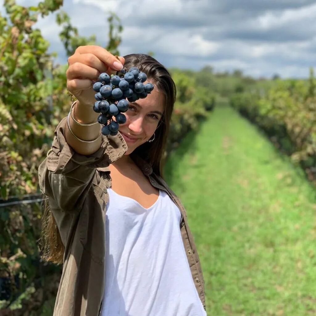 Viñedos de Traslasierra.