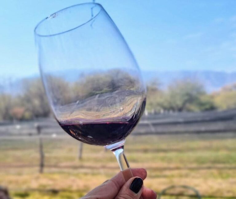 Wine Tour por Traslasierra: un finde para disfrutar de su gastronomía y sus vinos