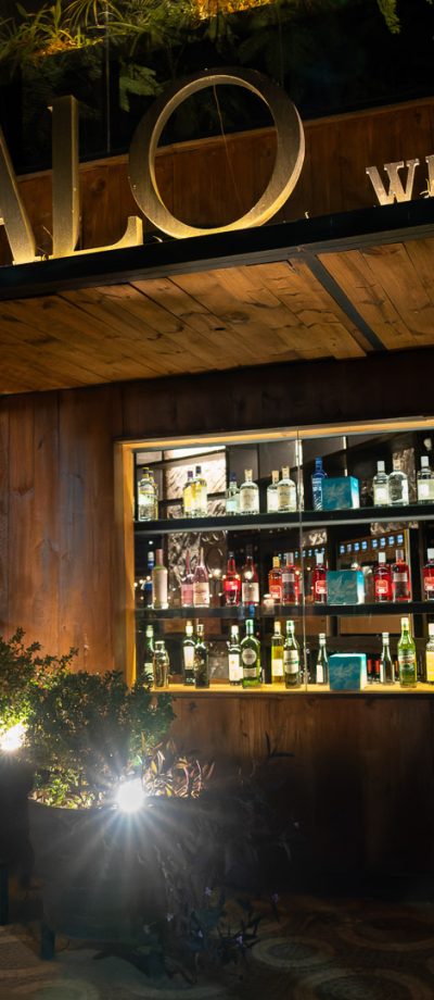 Galo Wines_1-cuadrado