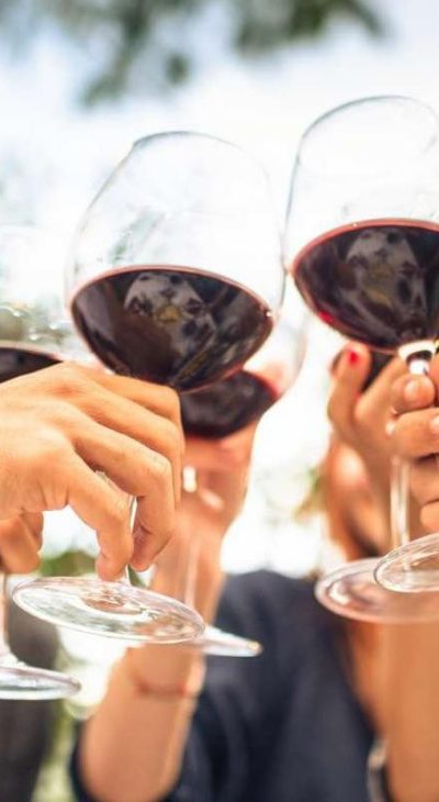 araoz de lamadrid brindis